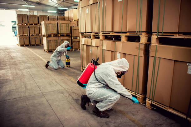 Best Affordable Pest Control Services  in Dubuque, IA