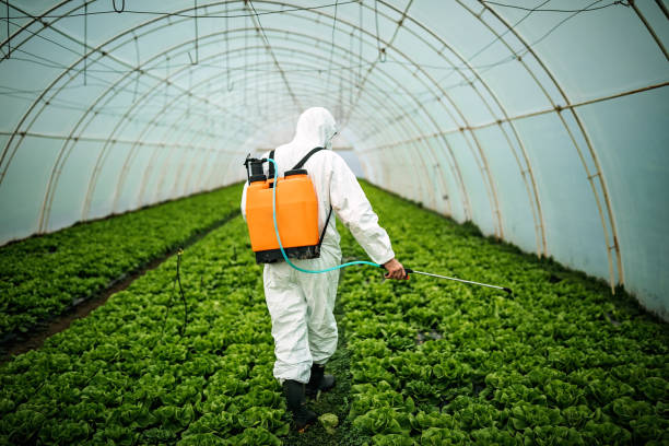 Best Pest Inspection Near Me  in Dubuque, IA