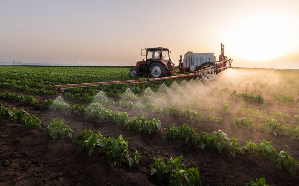 Best Insect Control  in Dubuque, IA