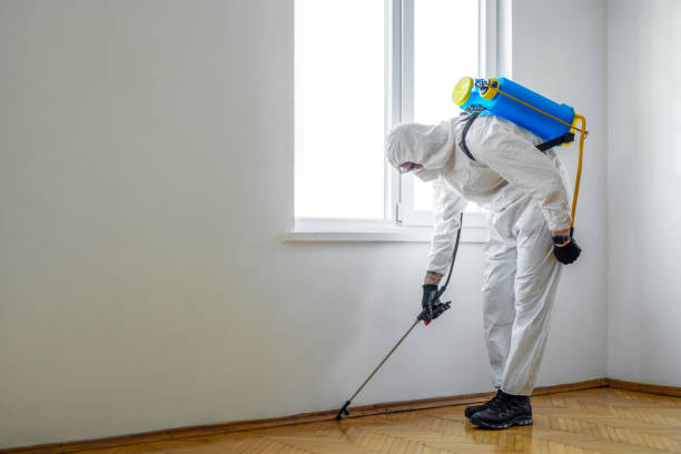 Best Pest Removal Services  in Dubuque, IA