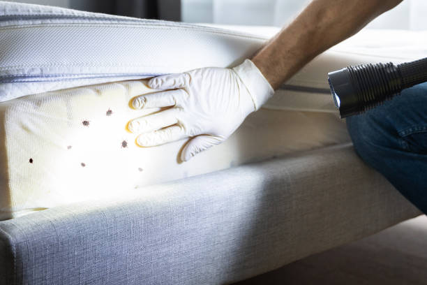 Best Wildlife Control Services  in Dubuque, IA