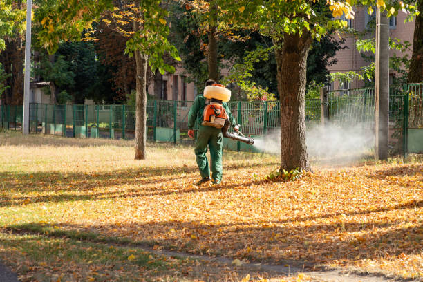 Best Wasp Removal Services  in Dubuque, IA
