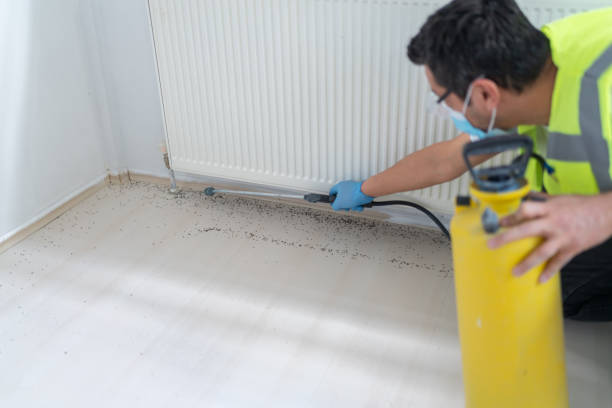 Best Best Pest Control Companies  in Dubuque, IA