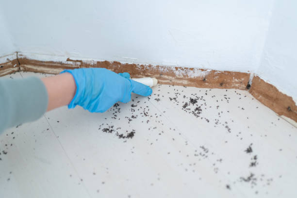 Dubuque, IA Pest Control Company