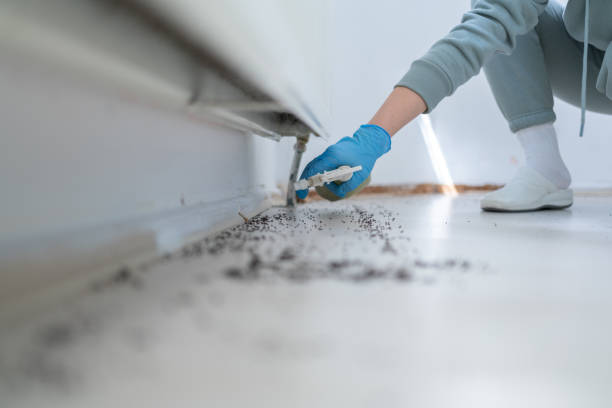 Best Pest Inspection Near Me  in Dubuque, IA