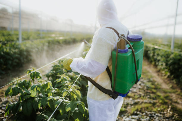 Best Cockroach Control Services  in Dubuque, IA
